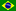 Potugês do Brasil